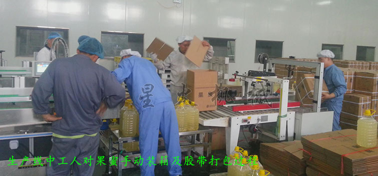 消防粉灌裝生產線，全自動粉末灌裝生產線